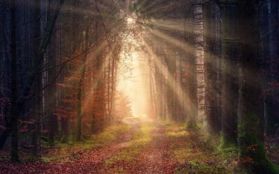 Gedicht – Zonnestraal