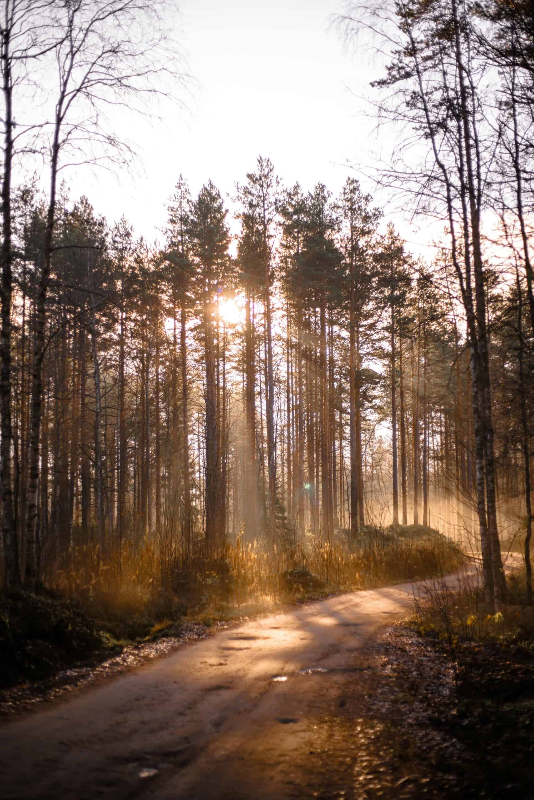 Ik loop graag een eindje met je op